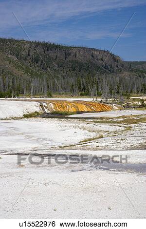 Stock Photograph - Cliff geyser, Black Sand Basin, Yellowstone National Park, Wyoming, USA. Fotosearch