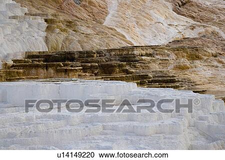 Mammoth Hot Spring, Yellowstone National Park, Wyoming, USA View Large Photo Image Stock Image - Mammoth Hot Spring, Yellowstone National Park, Wyoming, USA. Fotosearch