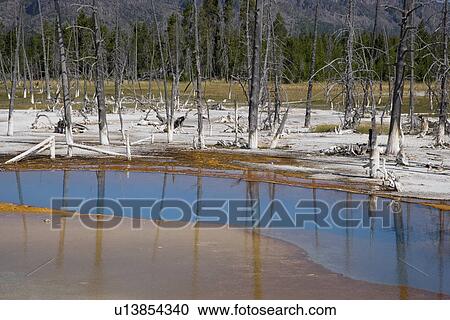 Stock Image - Opalescent Pool, Black Sand Basin, Yellowstone National Park. Fotosearch
