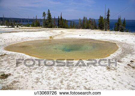 Percolating Spring, West Thumb Geyser Basin, Yellowstone Lake, Yellowstone National Park, Wyoming, USA View Large Photo Image Stock Photograph - Percolating Spring, West Thumb Geyser Basin, Yellowstone Lake, Yellowstone National Park, Wyoming, USA. Fotosearch