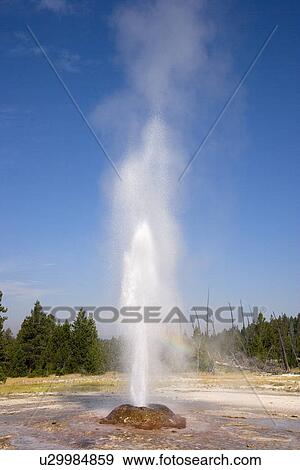 Stock Photo - Pink Cone Geyser, Yellowstone National Park, Wyoming, USA. Fotosearch