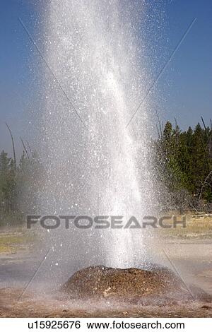Stock Photograph - Pink Cone Geyser, Yellowstone National Park, Wyoming, USA. Fotosearch