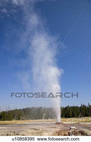Stock Photography - Pink Cone Geyser, Yellowstone National Park, Wyoming, USA. Fotosearch