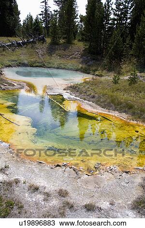 Stock Image - Twin Geysers, West Thumb Geyser Basin, Yellowstone National Park, Wyoming, USA. Fotosearch