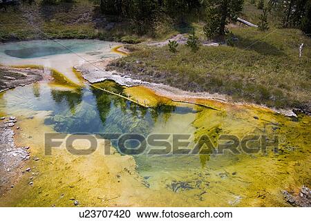 Stock Image - Twin Geysers, West Thumb Geyser Basin, Yellowstone National Park, Wyoming, USA. Fotosearch