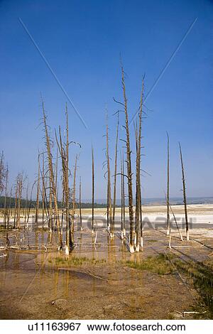 USA, Wyoming, Yellowstone National Park View Large Photo Image Stock Photo - USA, Wyoming, Yellowstone National Park. Fotosearch