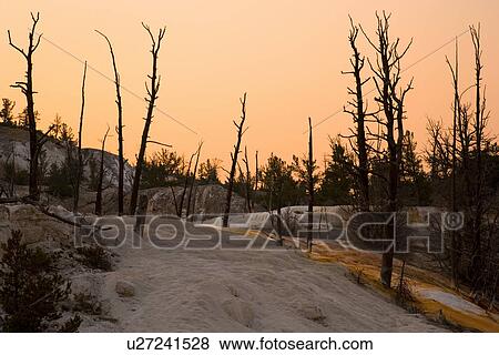 USA, Wyoming, Yellowstone National Park, Mammoth Hot springs View Large Photo Image Stock Photo - USA, Wyoming, Yellowstone National Park, Mammoth Hot springs. Fotosearch