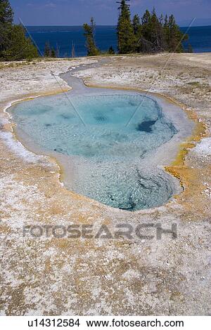 Picture - West Thumb Geyser Basin, Yellowstone Lake, Yellowstone National Park, Wyoming, USA. Fotosearch