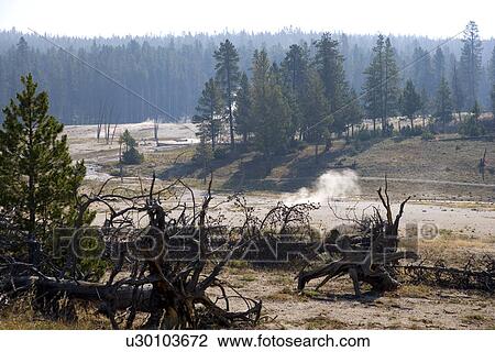 Yellowstone National Park, Wyoming, USA View Large Photo Image Stock Image - Yellowstone National Park, Wyoming, USA. Fotosearch