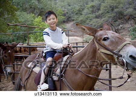 Boy sitting on horseback smiling, close up, Zion Canyon National Park, UT, USA View Large Photo Image Stock Image - Boy sitting on horseback smiling, close up, Zion Canyon National Park, UT, USA. Fotosearch