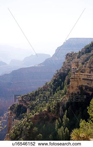 Stock Image - Grand Canyon, Arizona, USA. Fotosearch