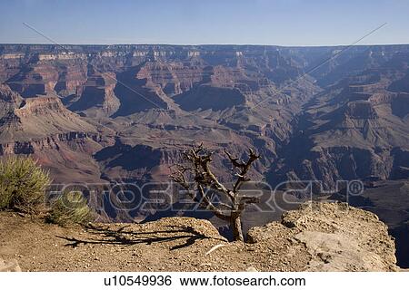 Stock Photograph - Grand Canyon, Arizona, USA. Fotosearch