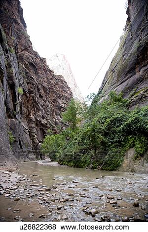The Virgin River, Zion National Park, Utah, USA View Large Photo Image Stock Photo - The Virgin River, Zion National Park, Utah, USA. Fotosearch
