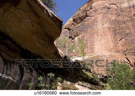 Zion Canyon National Park, UT, USA View Large Photo Image Stock Image - Zion Canyon National Park, UT, USA. Fotosearch