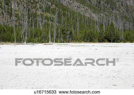 Stock Image - Black Sand Basin, Yellowstone National Park, Wyoming'. Fotosearch