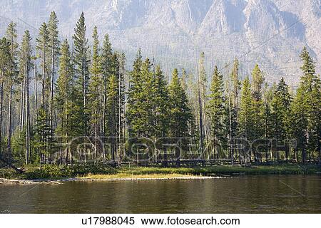 Firehole river, Yellowstone National Park, Wyoming View Large Photo Image Stock Photography - Firehole river, Yellowstone National Park, Wyoming. Fotosearch