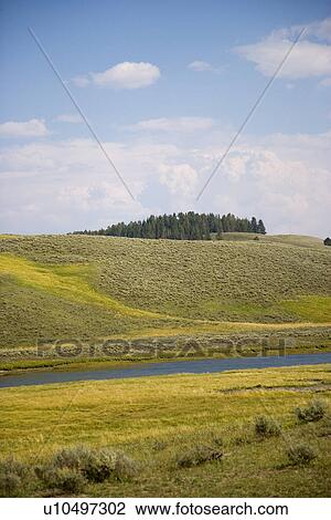 Hayden valley along yellow river at Yellowstone national park in Wyoming View Large Photo Image Stock Image - Hayden valley along yellow river at Yellowstone national park in Wyoming. Fotosearch