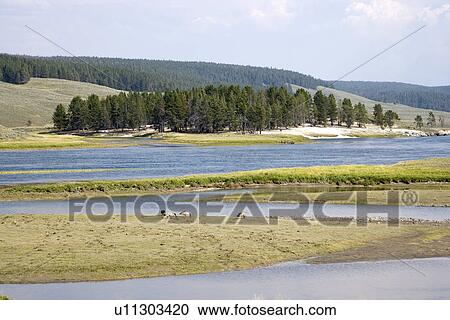 Stock Image - Hayden valley along yellow river at Yellowstone national park in Wyoming. Fotosearch