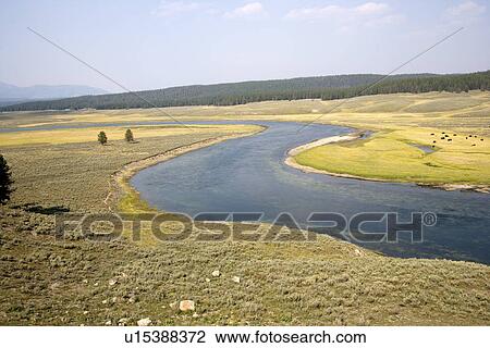 Stock Image - Hayden valley along yellow river at Yellowstone national park in Wyoming. Fotosearch