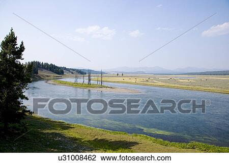 Stock Image - Hayden valley along yellow river at Yellowstone national park in Wyoming. Fotosearch