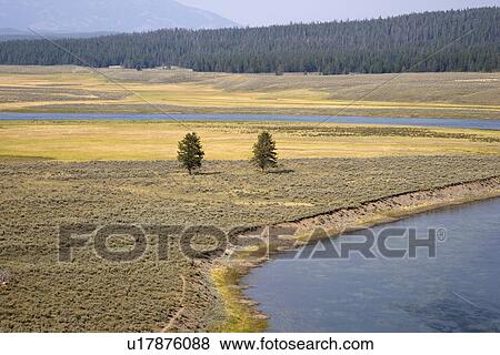 Hayden Valley, Yellowstone National Park, Wyoming, USA View Large Photo Image Stock Photo - Hayden Valley, Yellowstone National Park, Wyoming, USA. Fotosearch