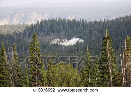 Heart of the Caldera, Yellowstone National Park, Wyoming, United States of America, North America View Large Photo Image Stock Image - Heart of the Caldera, Yellowstone National Park, Wyoming, United States of America, North America. Fotosearch