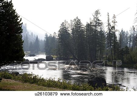 Stock Photo - Madison River, Yellowstone National Park, Wyoming, USA. Fotosearch