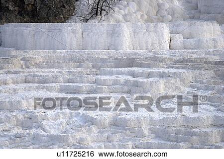 Stock Photograph - Mammoth hot spring, Yellowstone National Park, Wyoming, USA. Fotosearch
