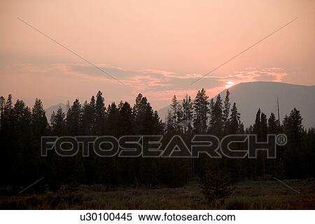 Stock Photography - Yellowstone National Park at sunset, United States of America. Fotosearch