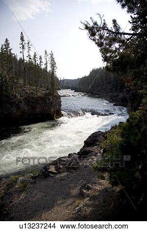 Picture - Yellowstone National Park, Wyoming, USA. Fotosearch