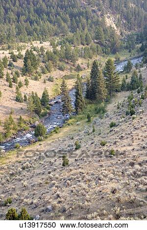 Yellowstone River, Yellowstone National Park, Wyoming, USA View Large Photo Image Stock Image - Yellowstone River, Yellowstone National Park, Wyoming, USA. Fotosearch