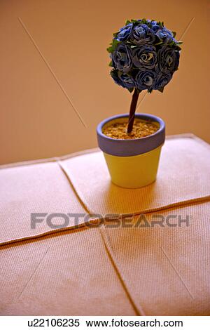 Stock Photography - Potted plant. Fotosearch