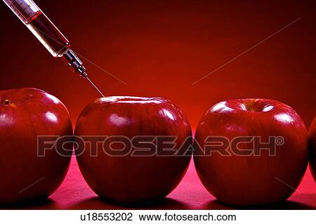 A syringe injecting red liquid into apples View Large Photo Image Stock Image - A syringe injecting red liquid into apples. Fotosearch