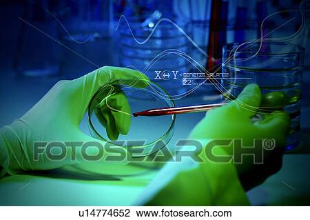 Stock Image - Close-up of a dropper and a petri dish in a person's hand. Fotosearch