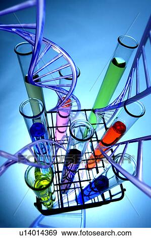 DNA strand and liquid-filled test tube View Large Photo Image Stock Photo - DNA strand and liquid-filled test tube. Fotosearch