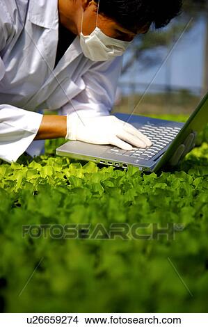 Technician using laptop in greenhouse View Large Photo Image Picture - Technician using laptop in greenhouse. Fotosearch