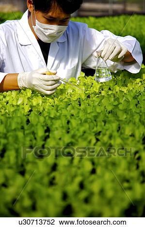 Technician working in greenhouse View Large Photo Image Stock Image - Technician working in greenhouse. Fotosearch