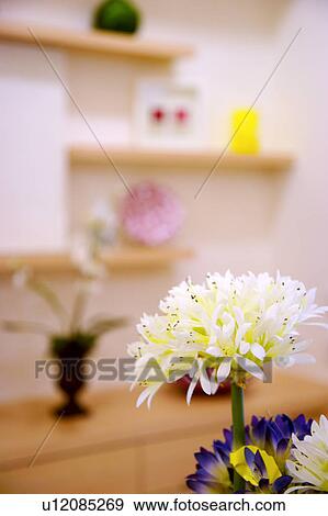 Stock Photo - Flower, selective focus. Fotosearch