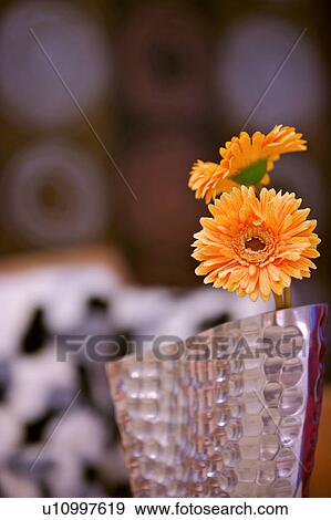 Flowers in vase View Large Photo Image Stock Photo - Flowers in vase. Fotosearch