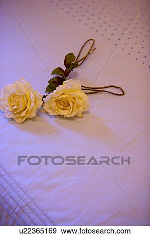 Stock Photo - Flowers on bed. Fotosearch