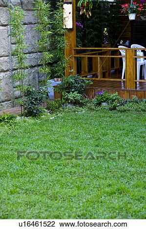 Front or Back Yard View Large Photo Image Stock Image - Front or Back Yard. Fotosearch