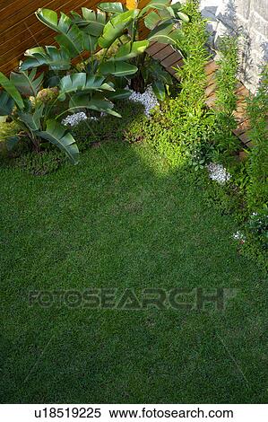 Garden, corner view View Large Photo Image Stock Photography - Garden, corner view. Fotosearch
