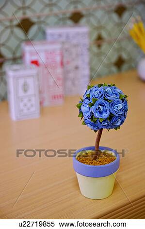 Stock Photography - Potted plant on table. Fotosearch