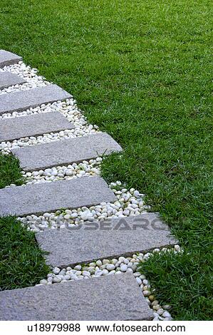Stock Photo - Stepping stones in garden. Fotosearch