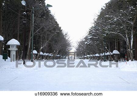 Japan, Hokkaido, Hokkaido Shrine View Large Photo Image Stock Photograph - Japan, Hokkaido, Hokkaido Shrine. Fotosearch