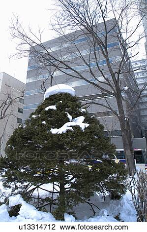 Japan, Hokkaido, Odori Park View Large Photo Image Stock Image - Japan, Hokkaido, Odori Park. Fotosearch