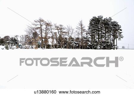 Japan, Hokkaido, Ski Resort, Snow view View Large Photo Image Stock Image - Japan, Hokkaido, Ski Resort, Snow view. Fotosearch