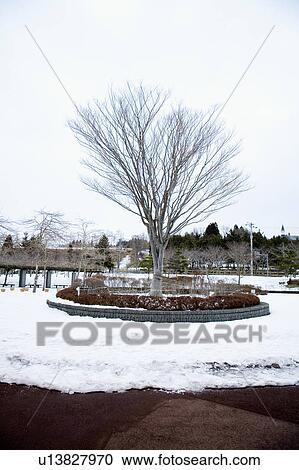 Stock Image - Japan, Hokkaido, snow view. Fotosearch