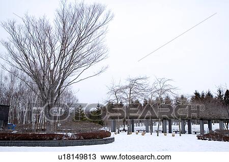 Japan, Hokkaido, snow view View Large Photo Image Stock Image - Japan, Hokkaido, snow view. Fotosearch