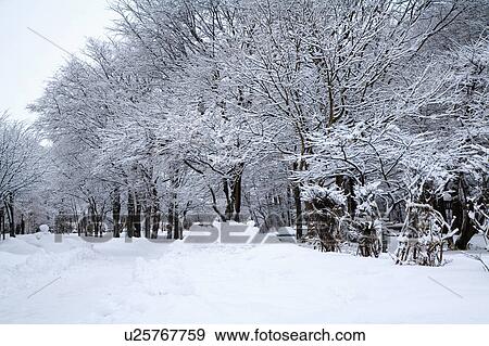Japan, Hokkaido View Large Photo Image Stock Photo - Japan, Hokkaido. Fotosearch